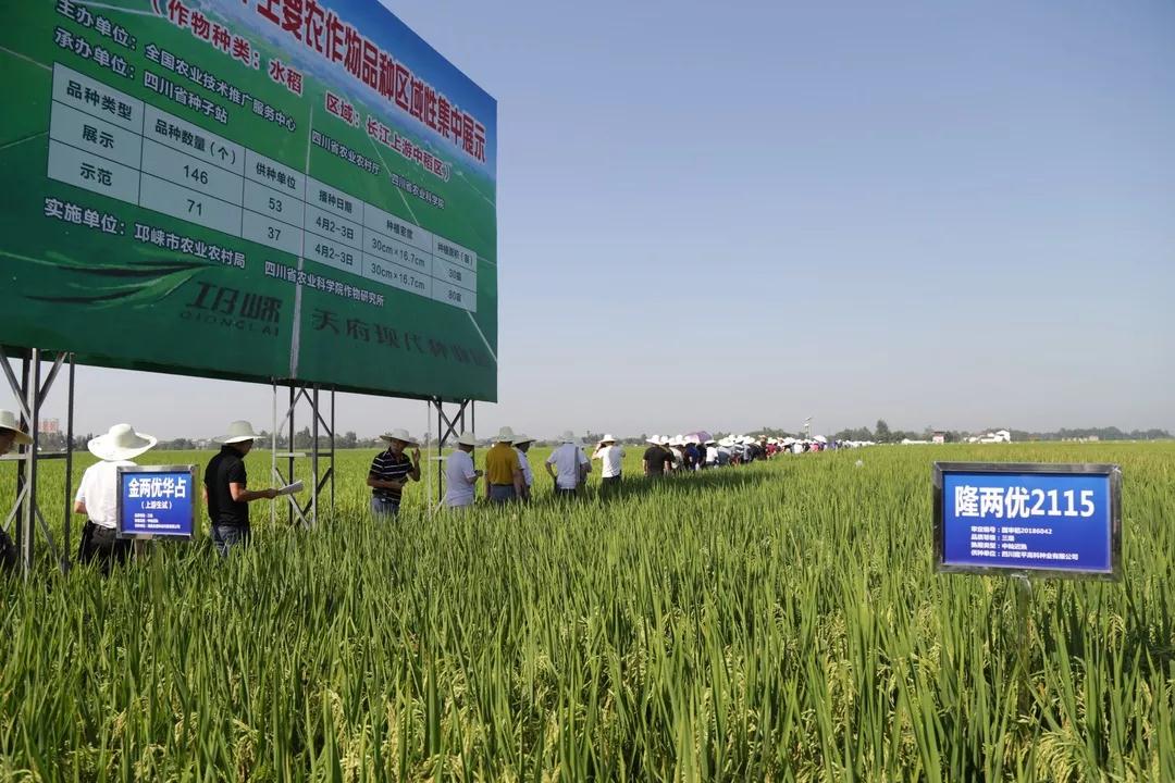探索建立耕地拋荒負(fù)面清單制度