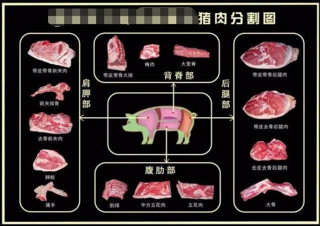 在頭箱蓋板之下發(fā)現(xiàn)了很多他的陪葬品