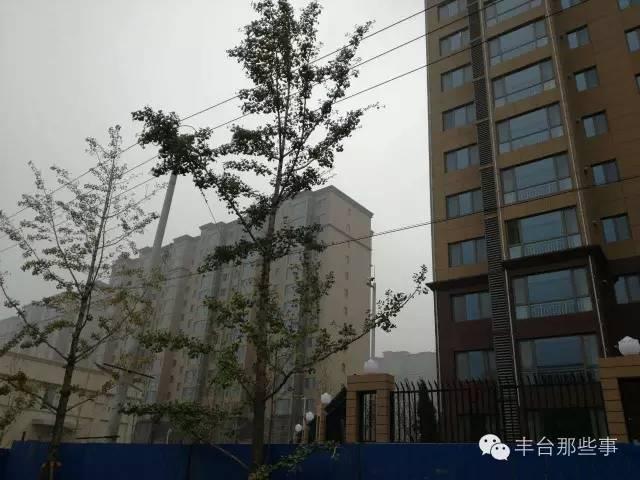 大紅門街道時村大隊拆遷規劃問題