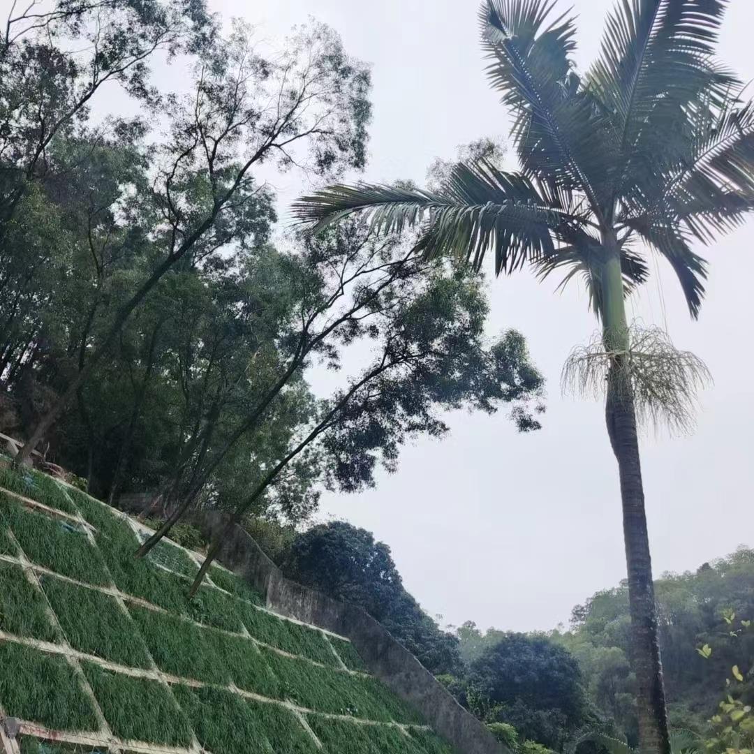 布吉德富花園